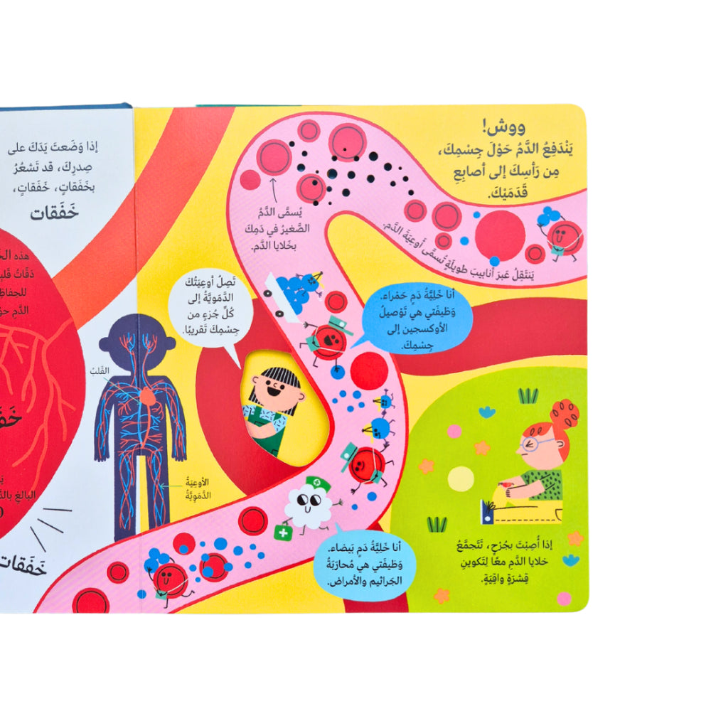 التعرف على العلم: جسمك
