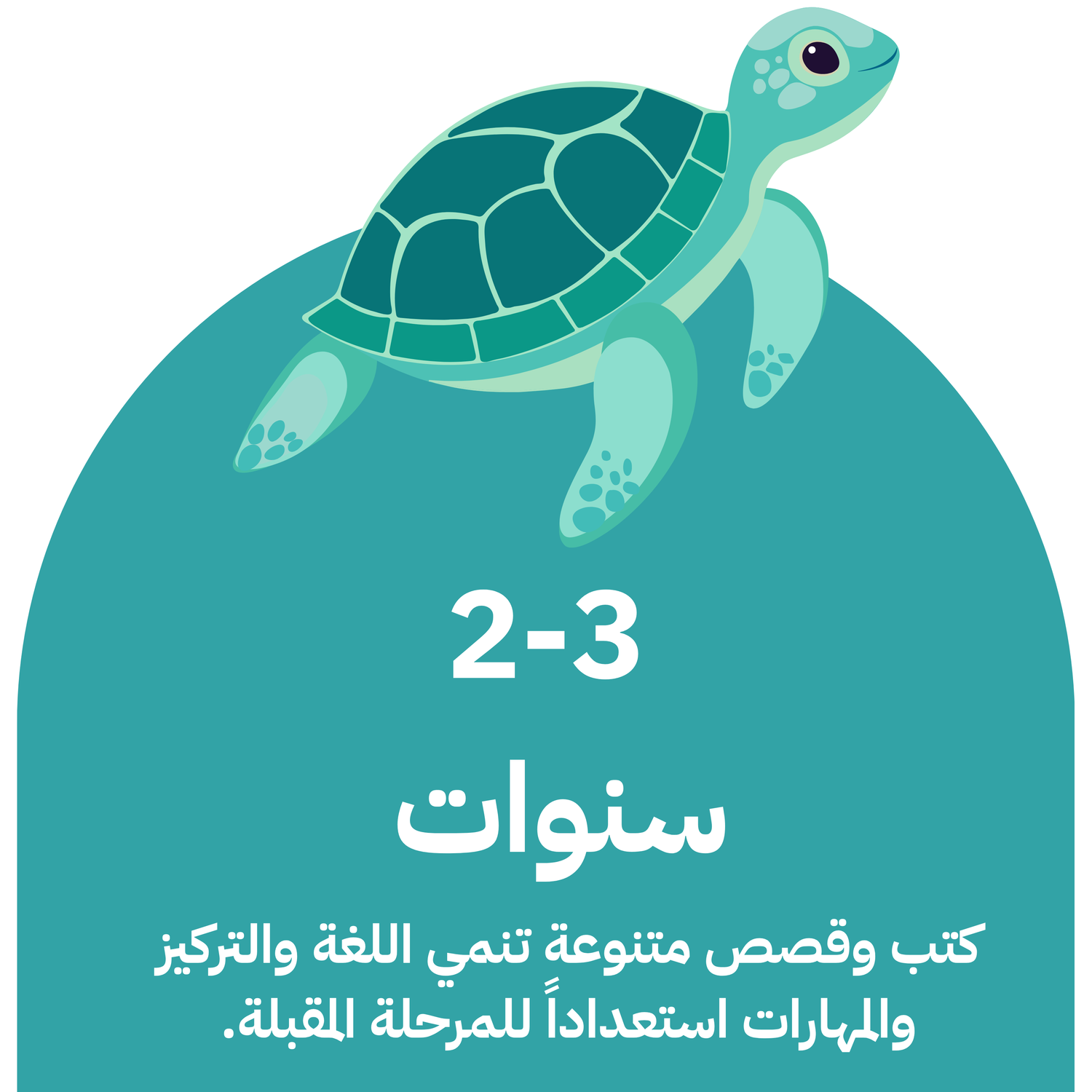 2-3 سنوات