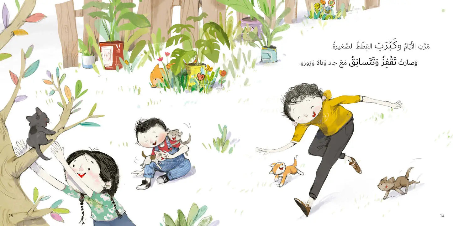 خمس قطط شقية