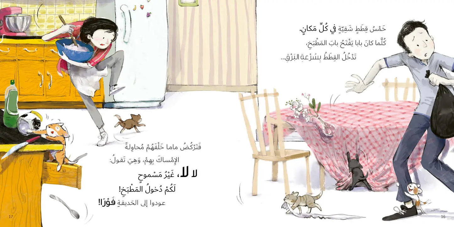 خمس قطط شقية