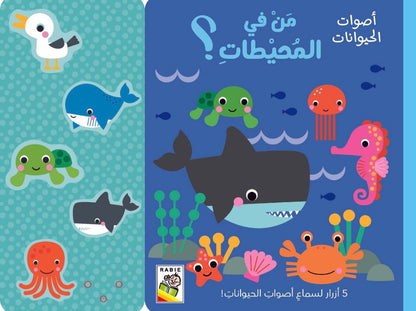 من في المحيطات؟